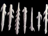 Paleolithic Harpoons Fotografie-Druck von John James Audubon