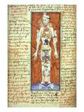 Zodiacal Man: Giclée-Druck von Auguste Rodin