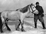 Edward Wilson (1872-1912) Photographic Print by Herbert Ponting