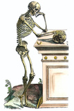 Vesalius: Skeleton, 1543 Giclée-Druck von Andreas Vesalius