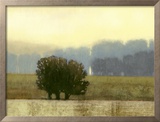 Villa Park I Framed Giclee Print by Norman Wyatt Jr.
