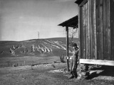 Farm Erosion, 1937 Photographic Print by Arthur Rothstein