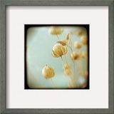 Sea Foam Prints by Alicia Bock