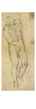 Michelangelo: Male Nude reproduction procédé giclée par Michelangelo 