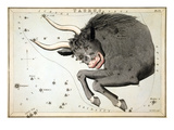 Constellation: Taurus Giclee Print by Sidney Hall