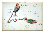 Constellation: Pisces reproduction procédé giclée par Sidney Hall