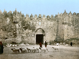 Jerusalem: Damascus Gate Impressão fotográfica Jerusalem: Damascus Gate Impressão fotográfica