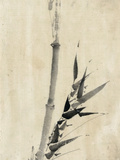Japan: Bamboo, C1830-1850 reproduction procédé giclée par Hokusai Katsushika
