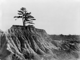 Mississippi: Erosion, 1936 Photographie par Walker Evans