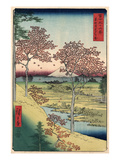 Japan: Maple Trees, 1858 reproduction procédé giclée par Ando Hiroshige