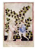 Asparagus, 14Th Century Giclee Print