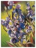 Iris Garden I Posters av li bo
