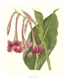 Tropical Indian Reed Posters by Samuel Curtis