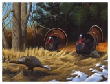 Turkies Posters by Leo Stans