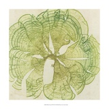 Brilliant Seaweed VIII Affiches