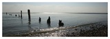 Beach Study I Plakat av Noah Bay