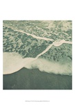 Summer of '76 II Posters par Alicia Ludwig