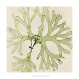 Brilliant Seaweed III Affiches