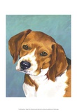 Dog Portrait, Beagle Affiche par Jill Sands