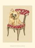 Pampered Pet II Poster by Chariklia Zarris