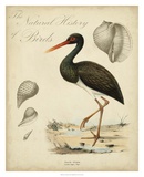 Heron Anthology I Prints
