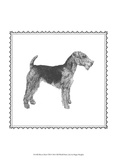 Best in Show VIII Poster von Megan Meagher