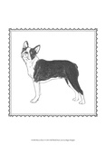 Best in Show I Prints by Megan Meagher