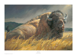 Big Boss Prints by Nancy Glazier