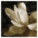 Bronze Lily V Art by Noah Bay