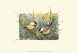 Chickadees and Pussy Willow Kunstdrucke von Janet Mandel