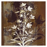 Prairie Mix V Affiches par John Butler
