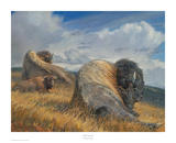 High Ground Kunst von Nancy Glazier