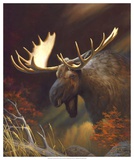 Moose Portrait Posters by Leo Stans
