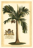 British Colonial Palm I Poster