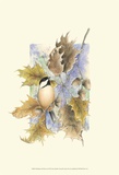 Chickadee and Oak Leaves Affiches par Janet Mandel