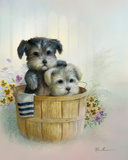 Brotherly Love Poster by Ruane Manning