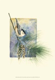 Nuthatch and Pine Prints by Janet Mandel