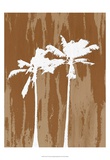 Oasis III Posters by James Burghardt