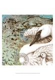 Swan Splash I Affiches par R. Collier-Morales