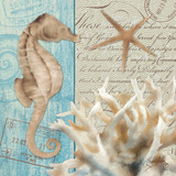 Seaside I Poster van Elizabeth Medley Seaside I Poster van Elizabeth Medley