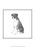 Best in Show XI Prints by Megan Meagher