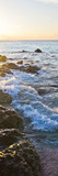 Bimini Coastline Plakat av Susan Bryant