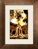 Swallowing the Ruins Framed Photographic Print by Trey Ratcliff