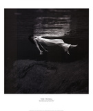 Weeki Wachee Spring, Florida, c.1947 Prints by Toni Frissell