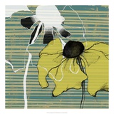 Layered Poppies II Kunstdrucke von Jennifer Goldberger