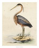 Antique Heron II Art