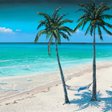 Palm Island I Prints by Paul Geatches