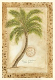 Phoenix Date Palm Prints by Marianne D. Cuozzo