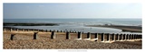 Beach Study IV Prints by Noah Bay