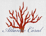 Atlantic Coral Poster von Hakimipour-Ritter 